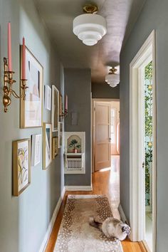 a dog laying on top of a rug next to a hallway with pictures on the wall