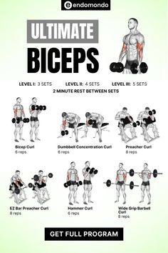 the ultimate guide to building bigger arms and shoulders