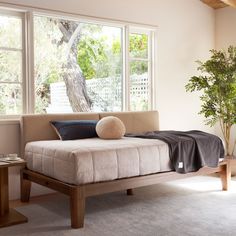 a bed sitting in front of a window next to a table with a potted plant on it