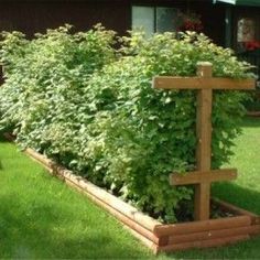 a wooden planter in the middle of a lawn