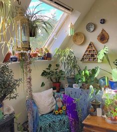 a room filled with lots of different types of plants