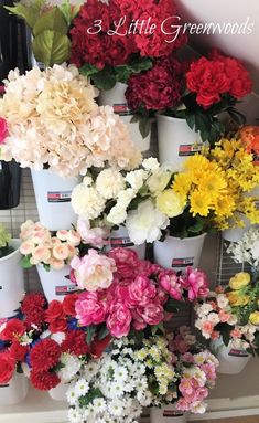 a bunch of flowers that are sitting on a shelf next to each other and the words 3 little greenwoods above them