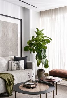 a living room filled with furniture and a potted plant on top of a coffee table