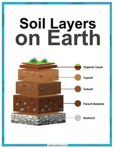 soil layers on earth with the names and their corresponding parts labeled in blue text below