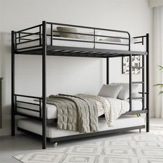 a black metal bunk bed sitting in a bedroom next to a white rug and potted plant