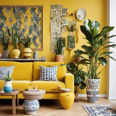 a living room filled with yellow furniture and potted plants