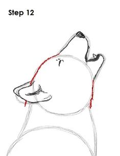 a drawing of a dog's head with the words step 12 written below it