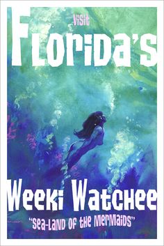 the front cover of florida's weeki watcher featuring a mermaid swimming in blue water