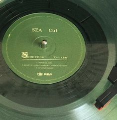 aesthetic sage green vinyl record sza ctrl Icona Ios, Mint Aesthetic, 헬로키티 배경화면, Zestaw Ikon, Mint Green Aesthetic, Sage Green Wallpaper, Desain Quilling, Green Pictures, Dark Green Aesthetic