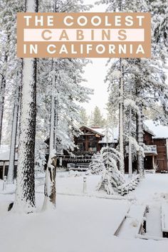 The most unique places to stay in California! These unique cabins in California and unique vacation rentals in California will give you a vacation you won't soon forget. unique places to stay in northern California and unique places to stay in southern California. | unique california stays and the best cabins in california Unique Cabins, Unique Vacation Rentals, Unique Places, Travel Board, Usa Travel, Travel Stories, Travel Guides, Northern California, Travel Ideas