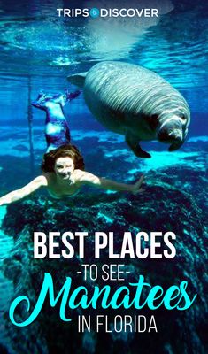 a woman swimming in the ocean with a manatee on her back and text reading best places to see manaties in florida