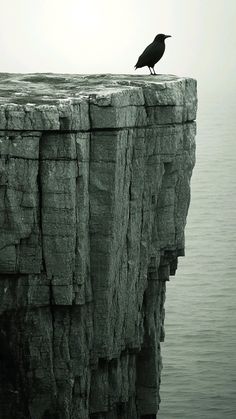 a bird sitting on the edge of a cliff