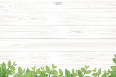 green leaves on white wooden background with space for text or image, flat lay style