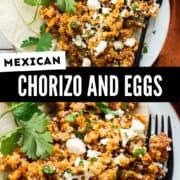 mexican chorizzo and eggs on a white plate with cilantro garnish