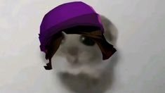 a cat with a purple hat on its head is seen through the shadow of a wall