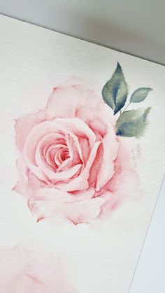 a watercolor painting of a pink rose