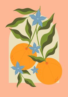 two oranges with leaves and blue flowers on a peach colored background, against a light pink backdrop