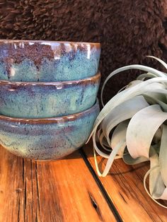 three blue bowls sitting on top of a wooden table next to a potted plant