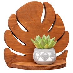 a small potted plant sitting on top of a wooden chair with an intricate design