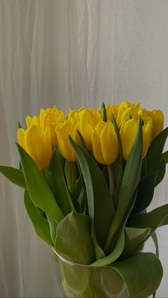 a vase filled with yellow flowers on top of a table