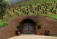 an entrance to a tunnel in the middle of a field with trees growing on it