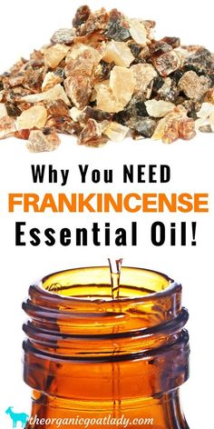 Essential Oil Frankincense, Diffuser Oil, Essential Oils Herbs, Essential Oils Health