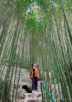 a woman standing in the middle of a bamboo forest