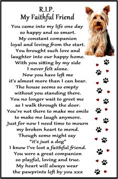 a poem written in the language of a dog with paw prints on it and an image of a yorkie