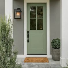 a green front door with two potted plants next to it and a light on the side