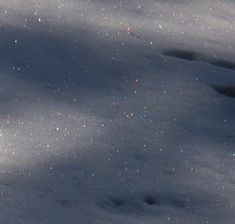 snow covered ground with small stars in the sky