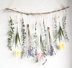 a bunch of flowers hanging from a rope on a wall with some leaves and buds