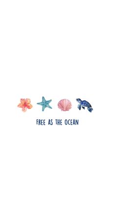 three seashells with the words free as the ocean