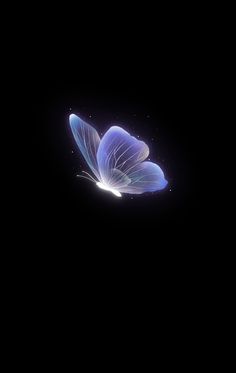 a blue butterfly flying through the dark sky with its wings spread out and glowing on it's back