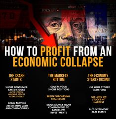 the cover of how to profits from an economic collapse, with text overlaying it