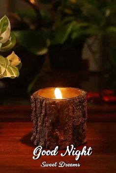 a lit candle sitting on top of a wooden table next to a potted plant