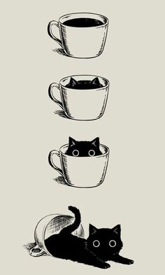 three coffee cups with cats sitting in them