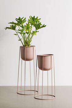 two planters with plants in them sitting on a table next to each other,