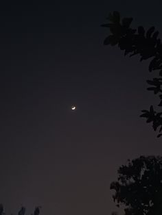 the moon is seen through some trees in the night sky, with only one light visible