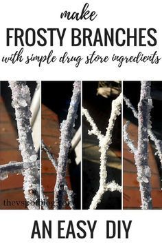 four different pictures of snow covered branches