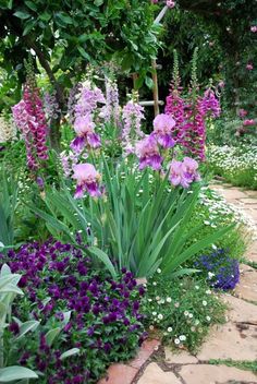 purple and white flowers are growing in the middle of a stone path surrounded by greenery