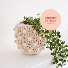 a crochet potted plant sits on a shelf next to a white wall