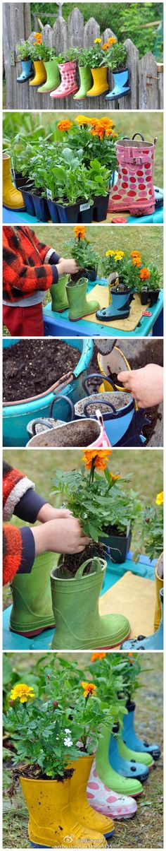 four pictures showing different stages of growing plants in pots with hands on top of them