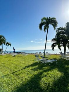 lawn chairs and palm trees on the grass by the ocean with a man standing in the distance