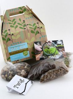 an open box containing seeds, seed packets and a package for the plant that grows in it