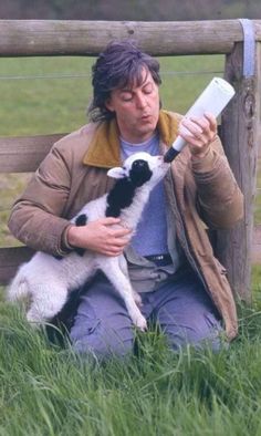 a man sitting on a bench holding a baby lamb and feeding it from a bottle