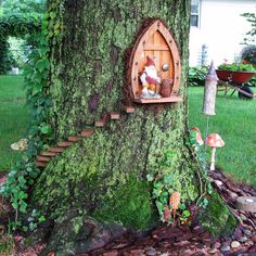 a fairy house built into the side of a tree