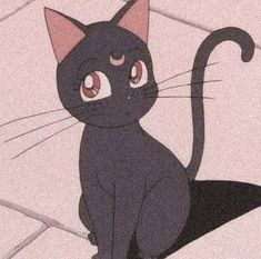 ☽︎༄[Sailor Moon Cat Luna | Icons]༄☾︎ Moon Luna, Semi Realism, Art House, Sailor Moon, Moon