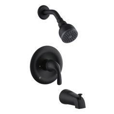 an image of a black shower faucet