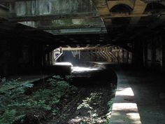 an abandoned tunnel with plants growing on the side and light coming from it's windows