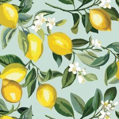 a painting of lemons and flowers on a light blue background with green leaves, white blooms